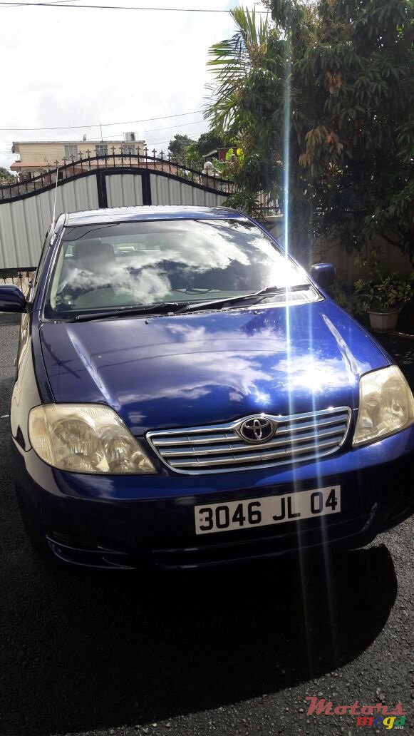 2004' Toyota Corolla photo #7