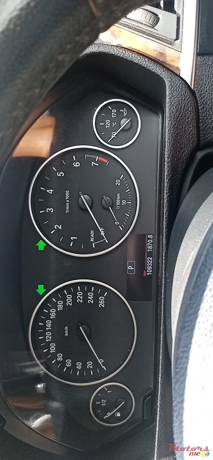 2013' BMW 316 photo #7