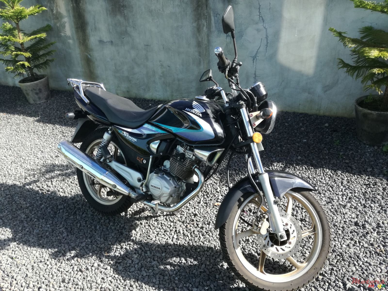 2009' Honda photo #1