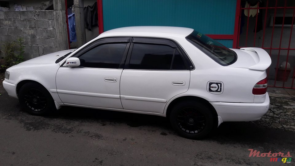 1998' Toyota Corolla photo #1