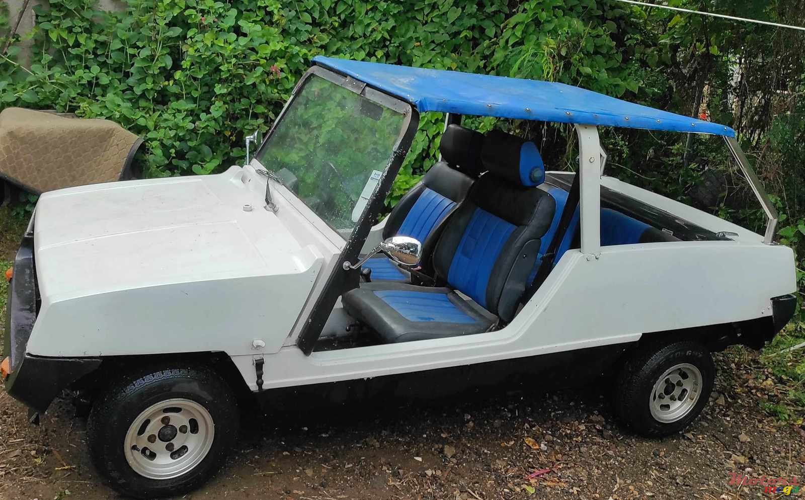 1983' Reliant photo #2