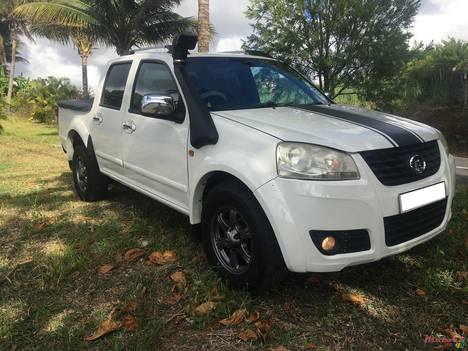 2012' GWM Steed 2.0 VGT photo #1