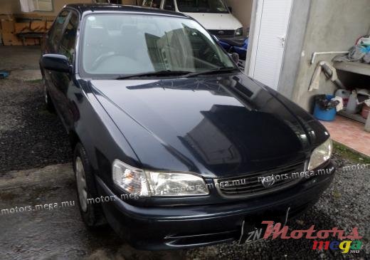 1999' Toyota Corolla photo #1