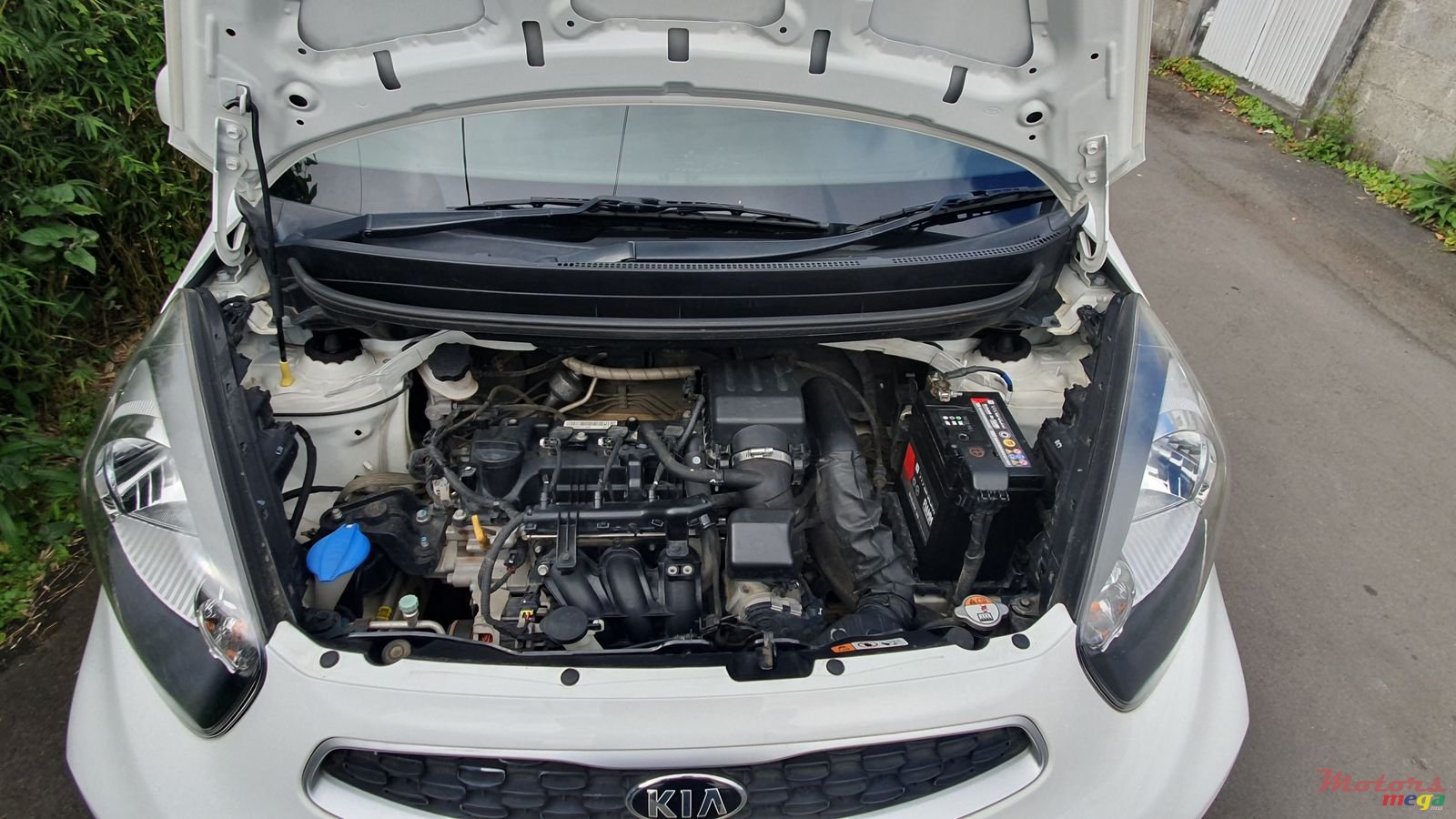 2017' Kia Picanto photo #3