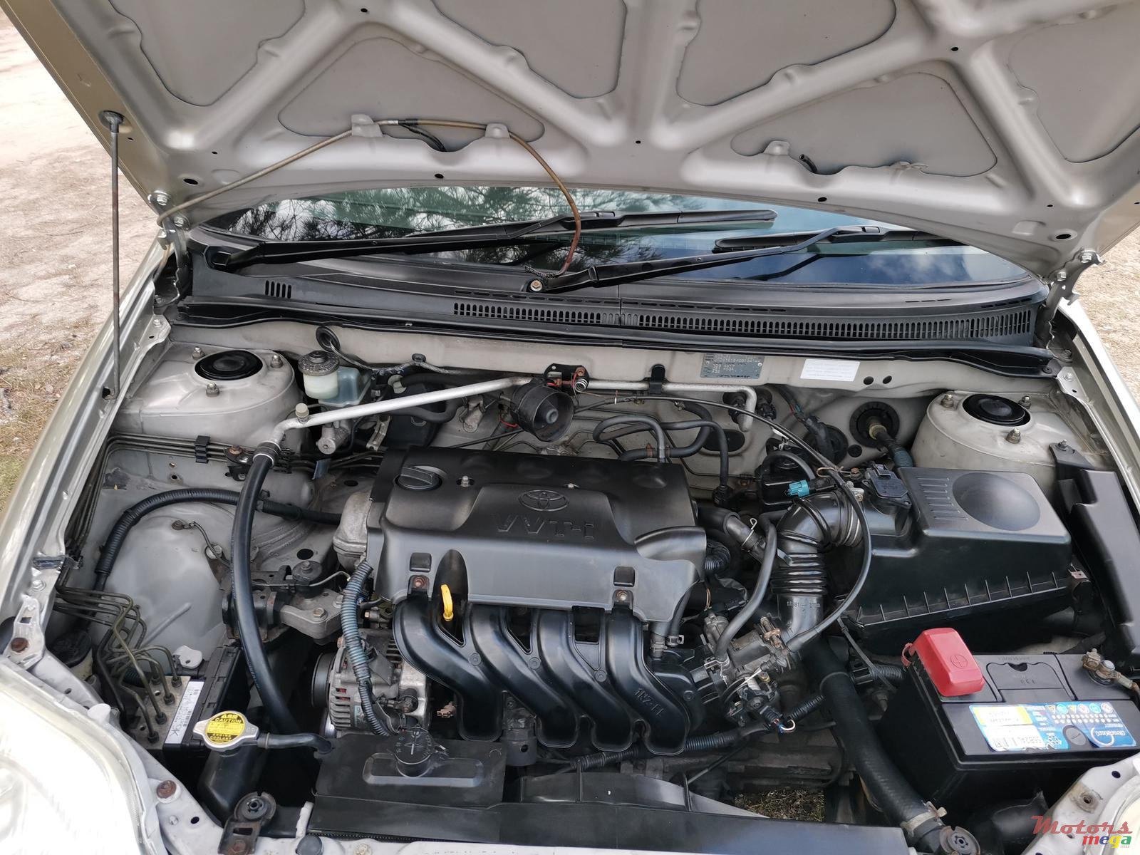 2002' Toyota Corolla photo #5