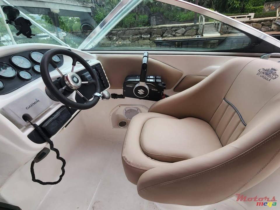 2014' Sunsation photo #2