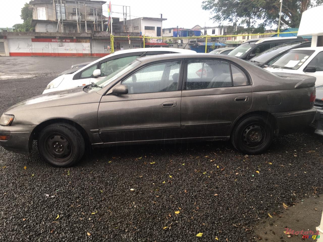 1992' Toyota Corolla Bulldog photo #3