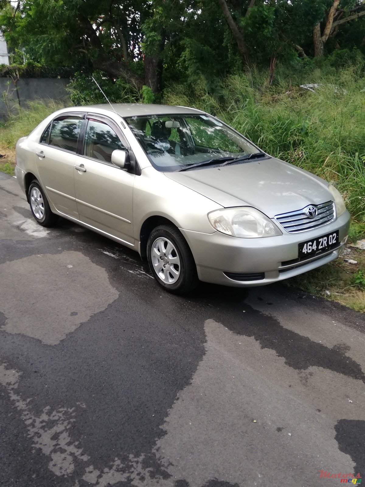 2002' Toyota Corolla NZE photo #1