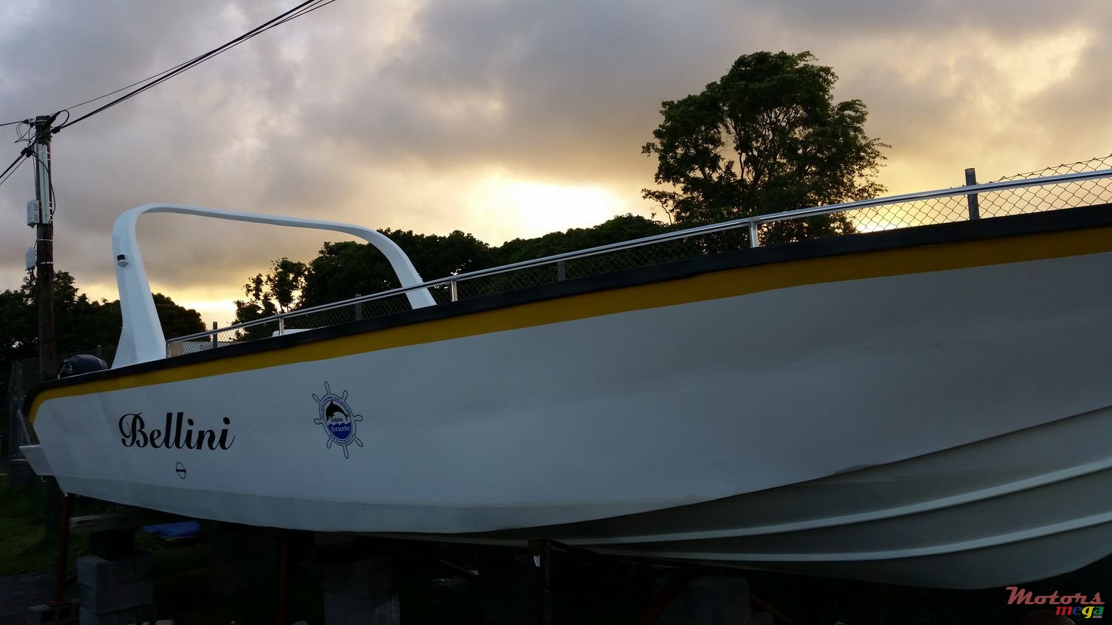 2016' Tremlett photo #2