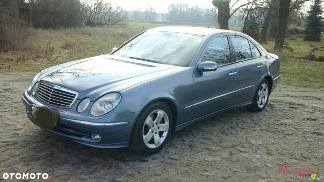 2004' Mercedes-Benz E-Class photo #3