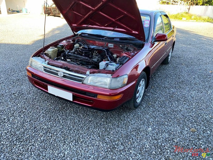 1996' Toyota Corolla EE101 photo #6
