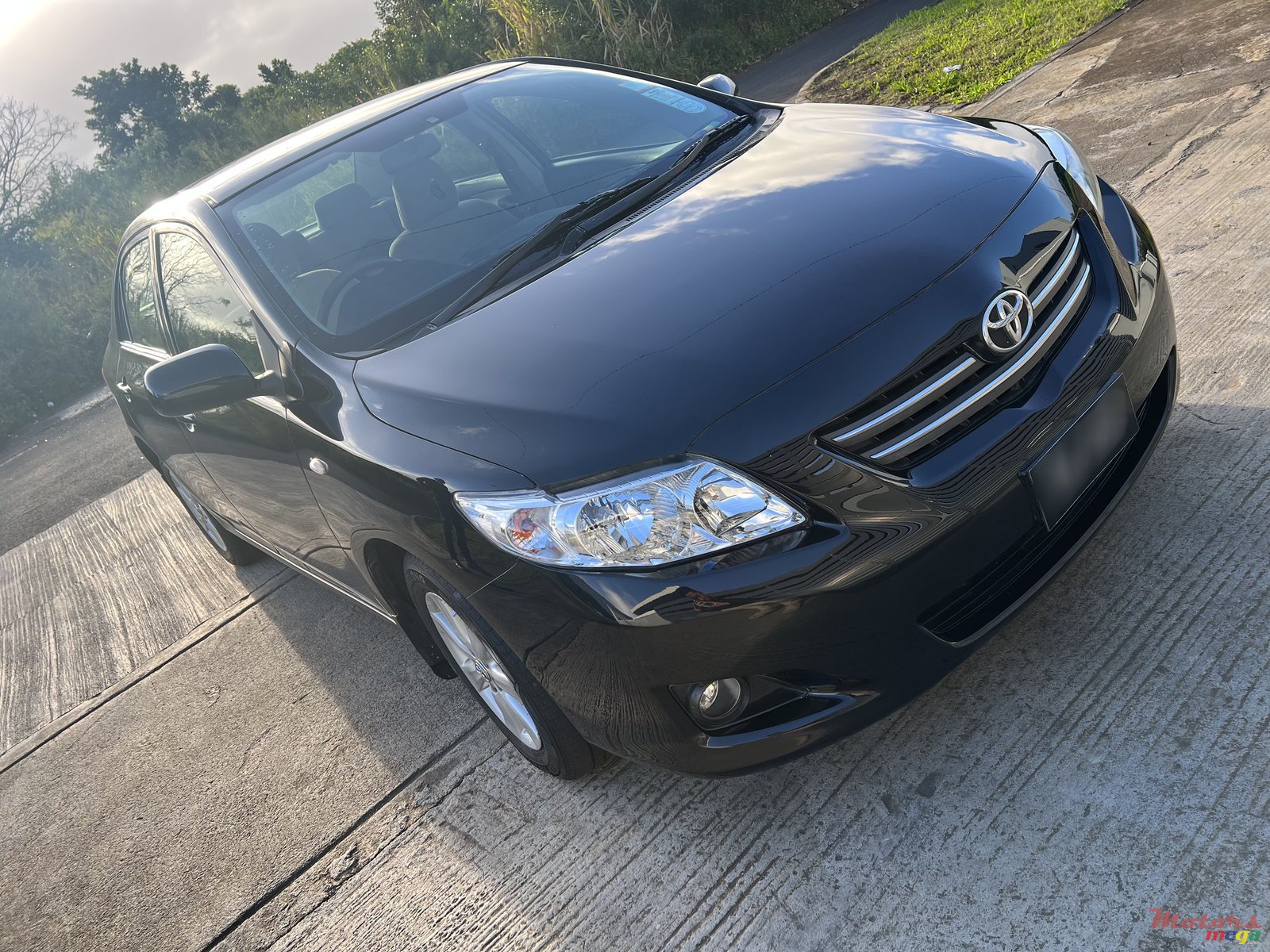 2009' Toyota Corolla photo #1