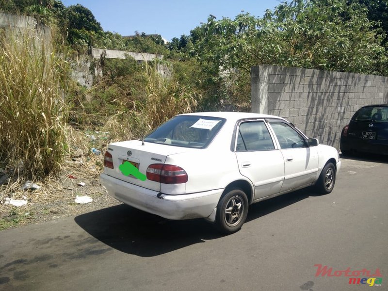 1998' Toyota Corolla photo #2