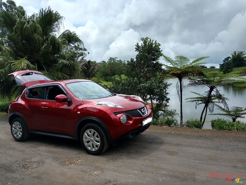 2011' Nissan Juke photo #1