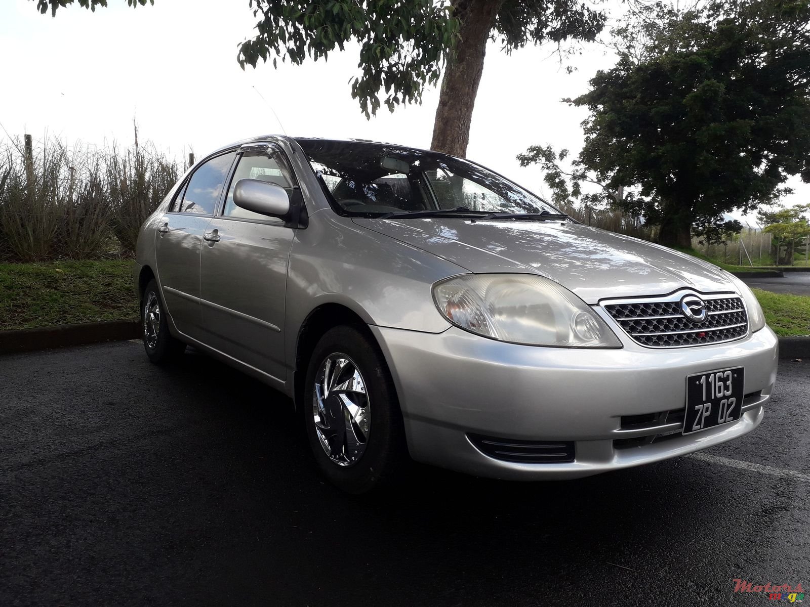 2002' Toyota Corolla photo #1