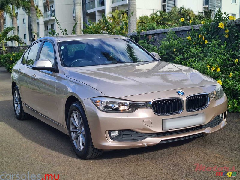 2013' BMW 316 i photo #2