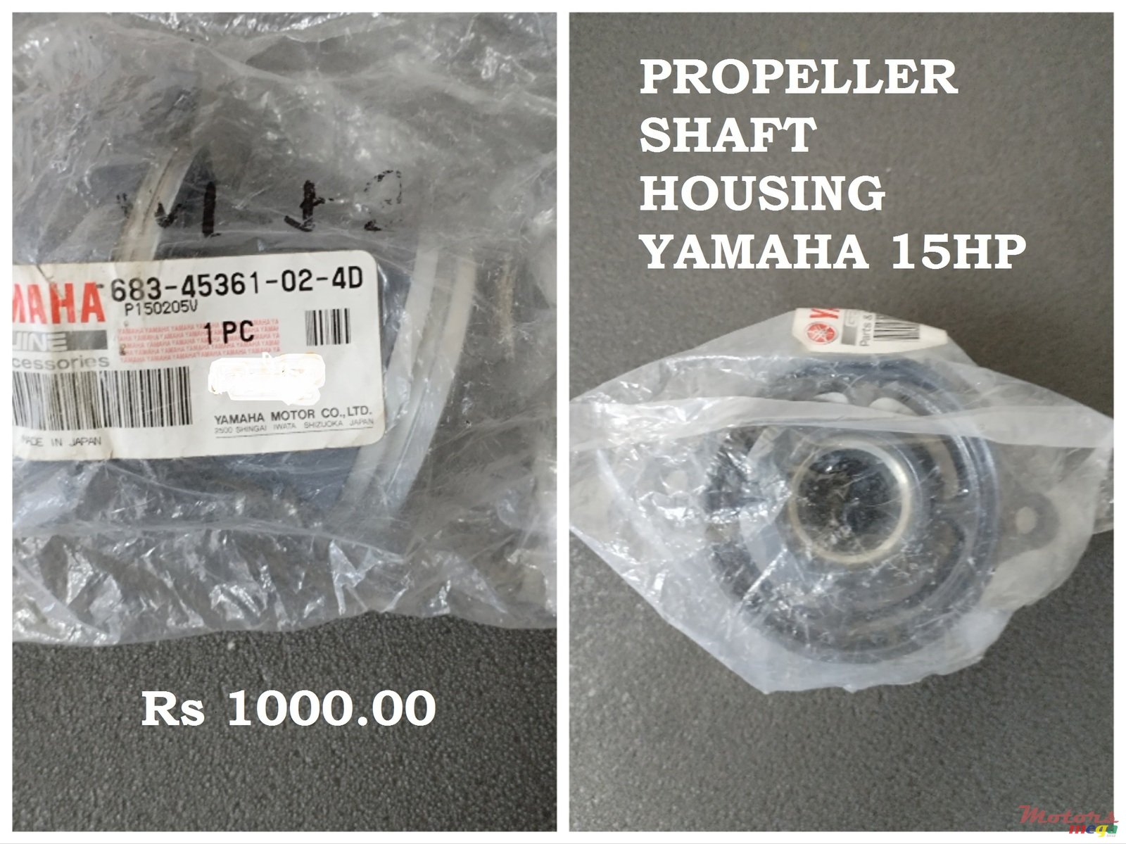 2024' Suzuki photo #2