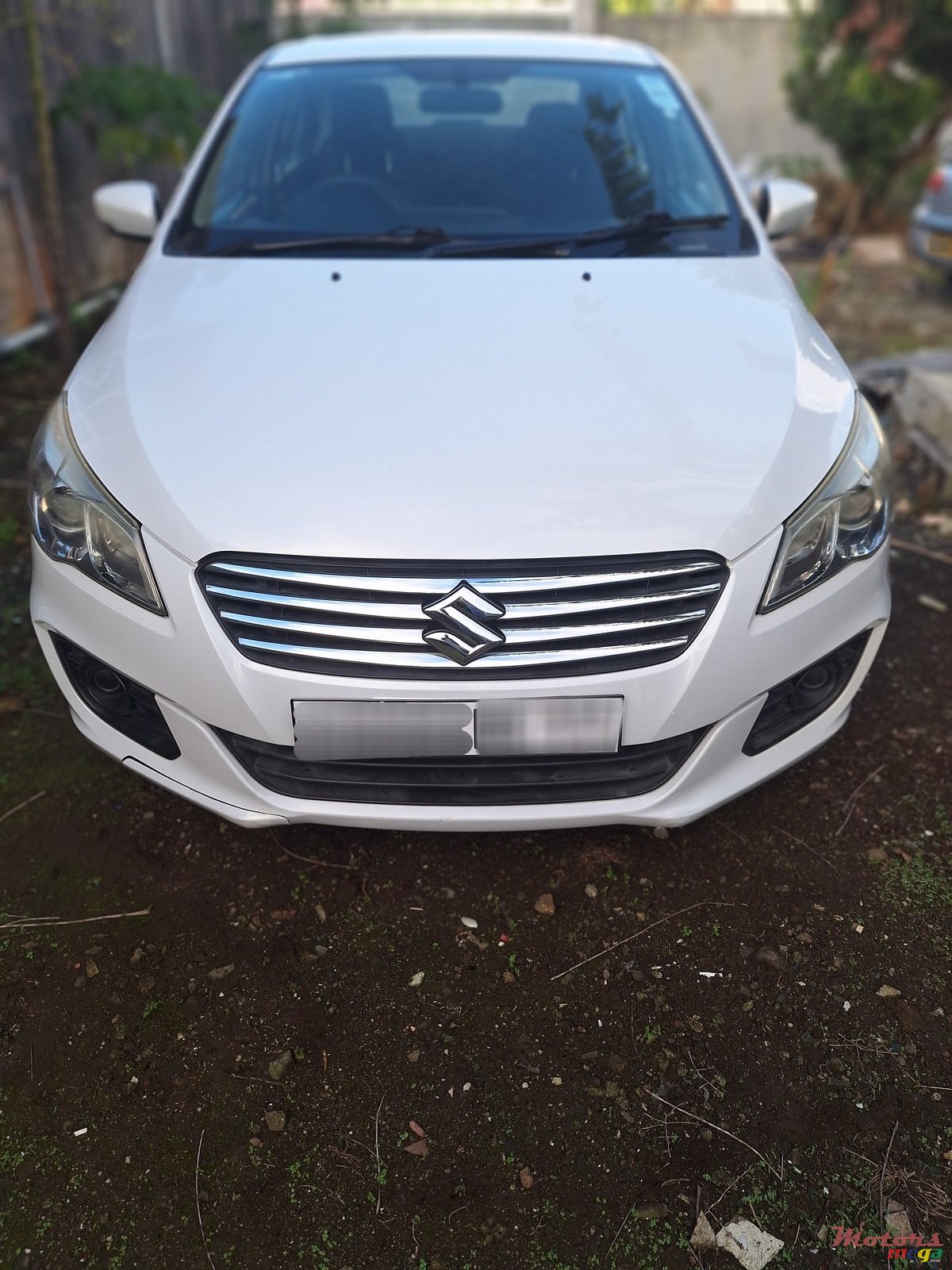 2017' Suzuki photo #1