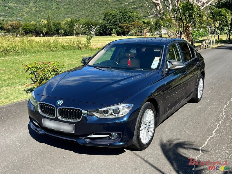 2013' BMW 316 photo #2