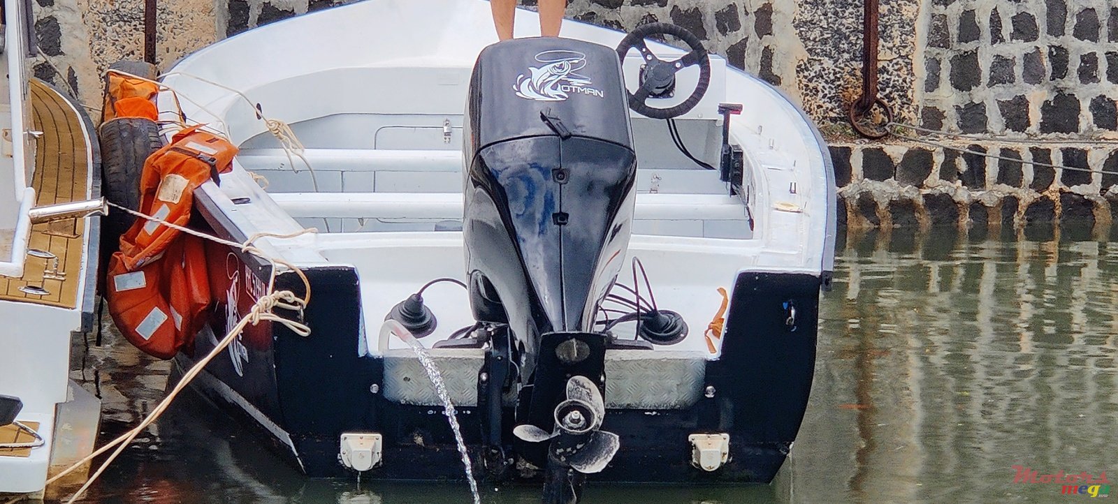 2011' Pelican 0 photo #1