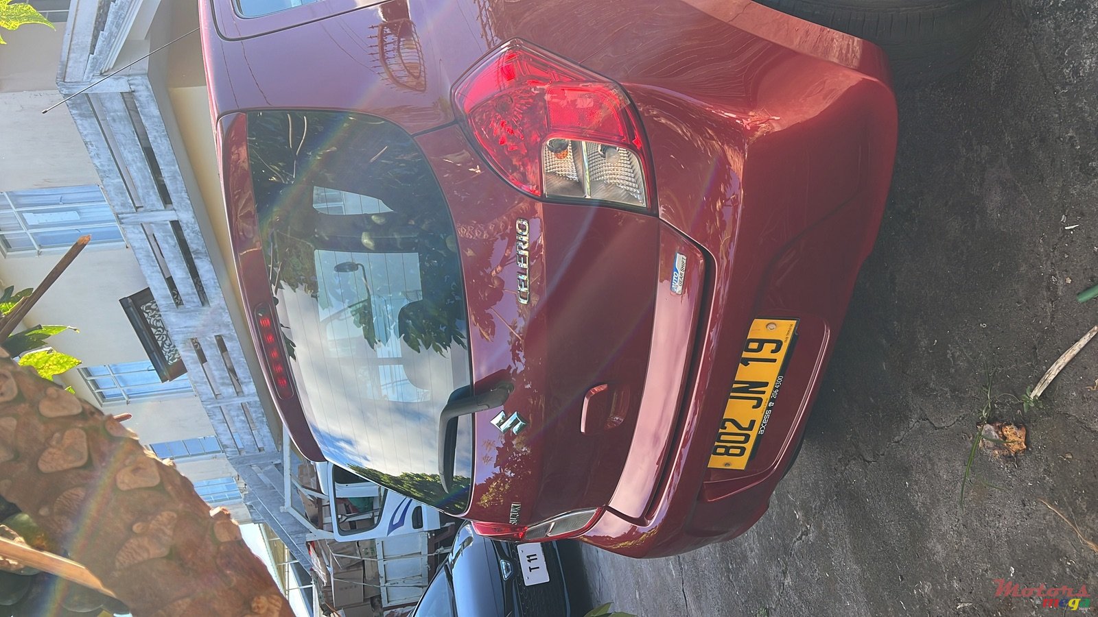 2019' Suzuki Celerio photo #1