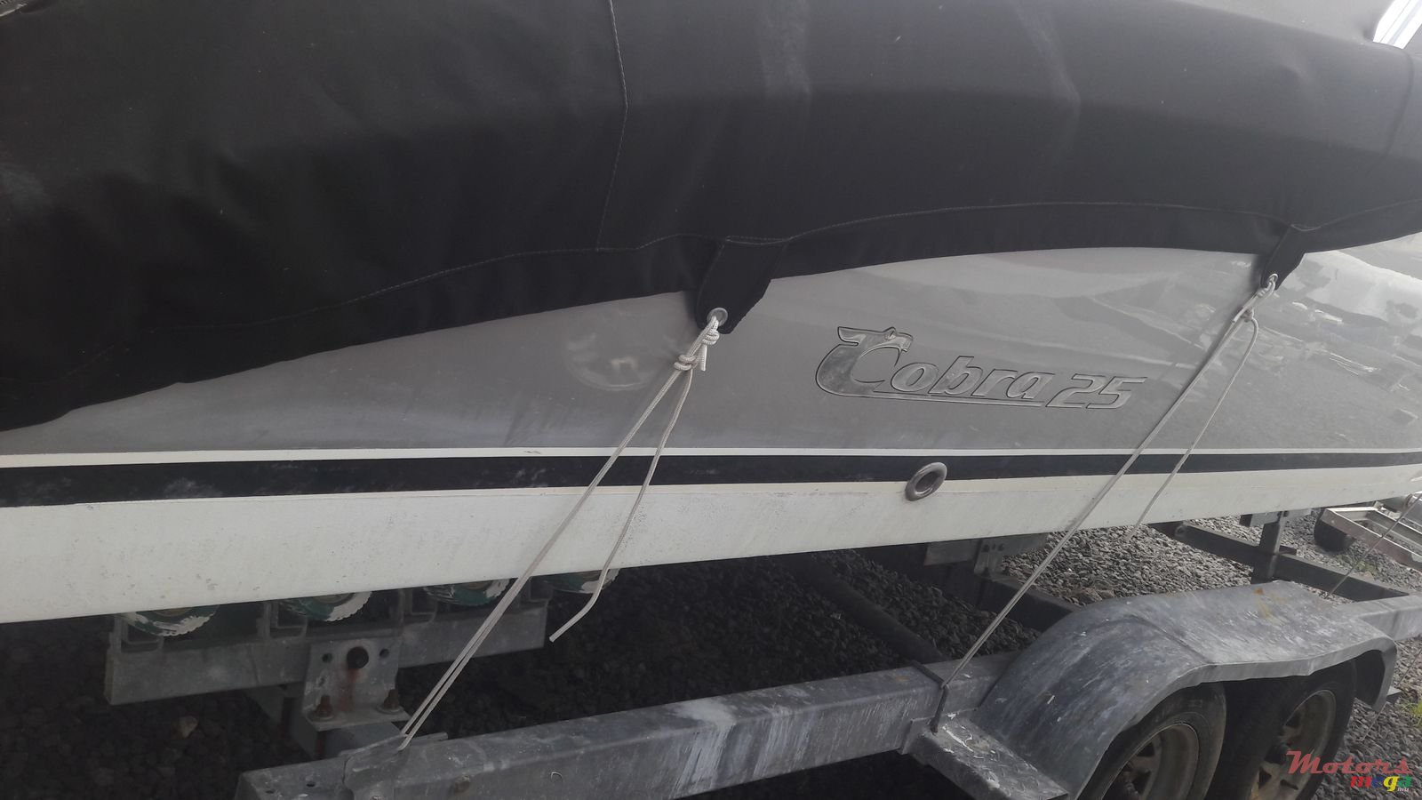 2016' Cobra photo #3