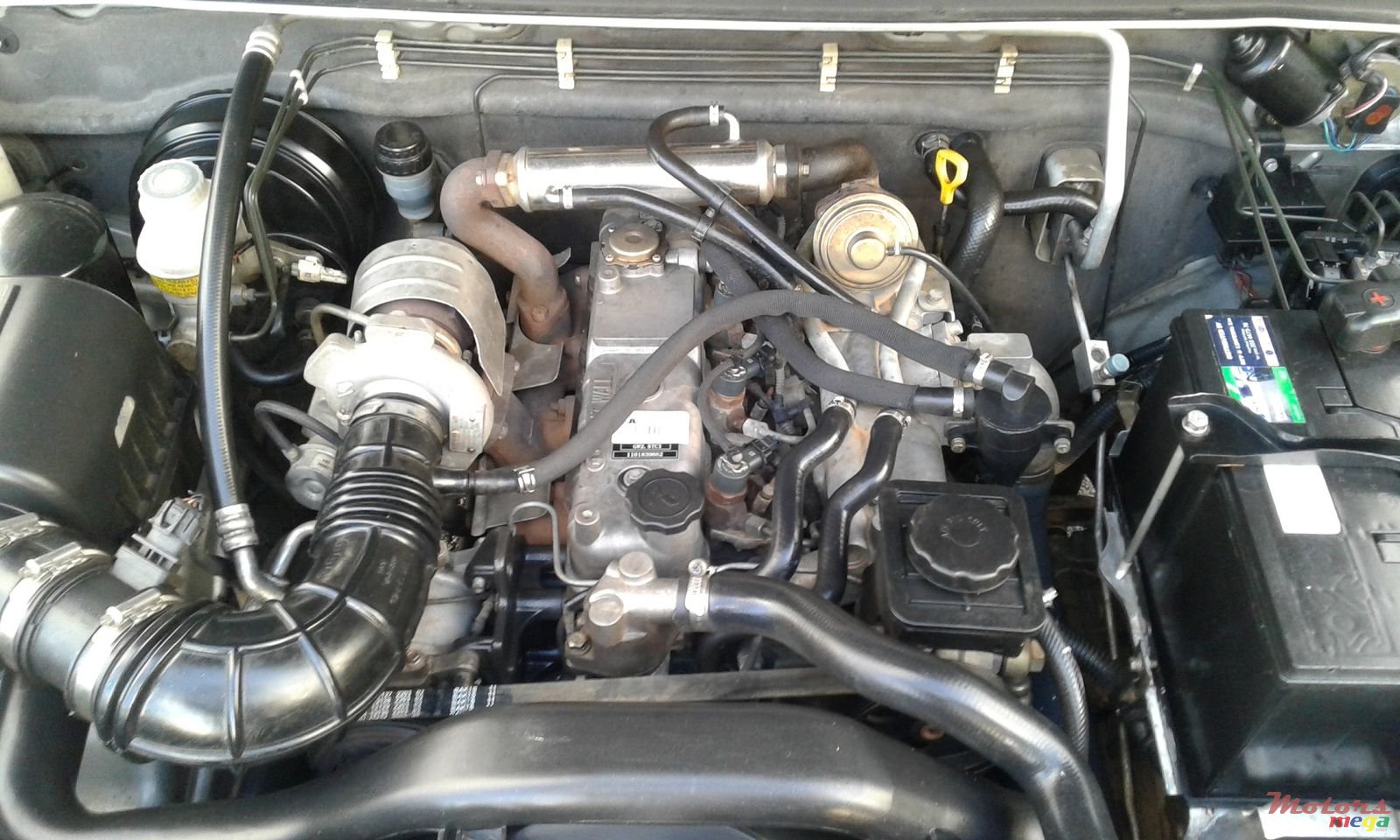 2011' GWM Steed 5 (4x4) photo #6