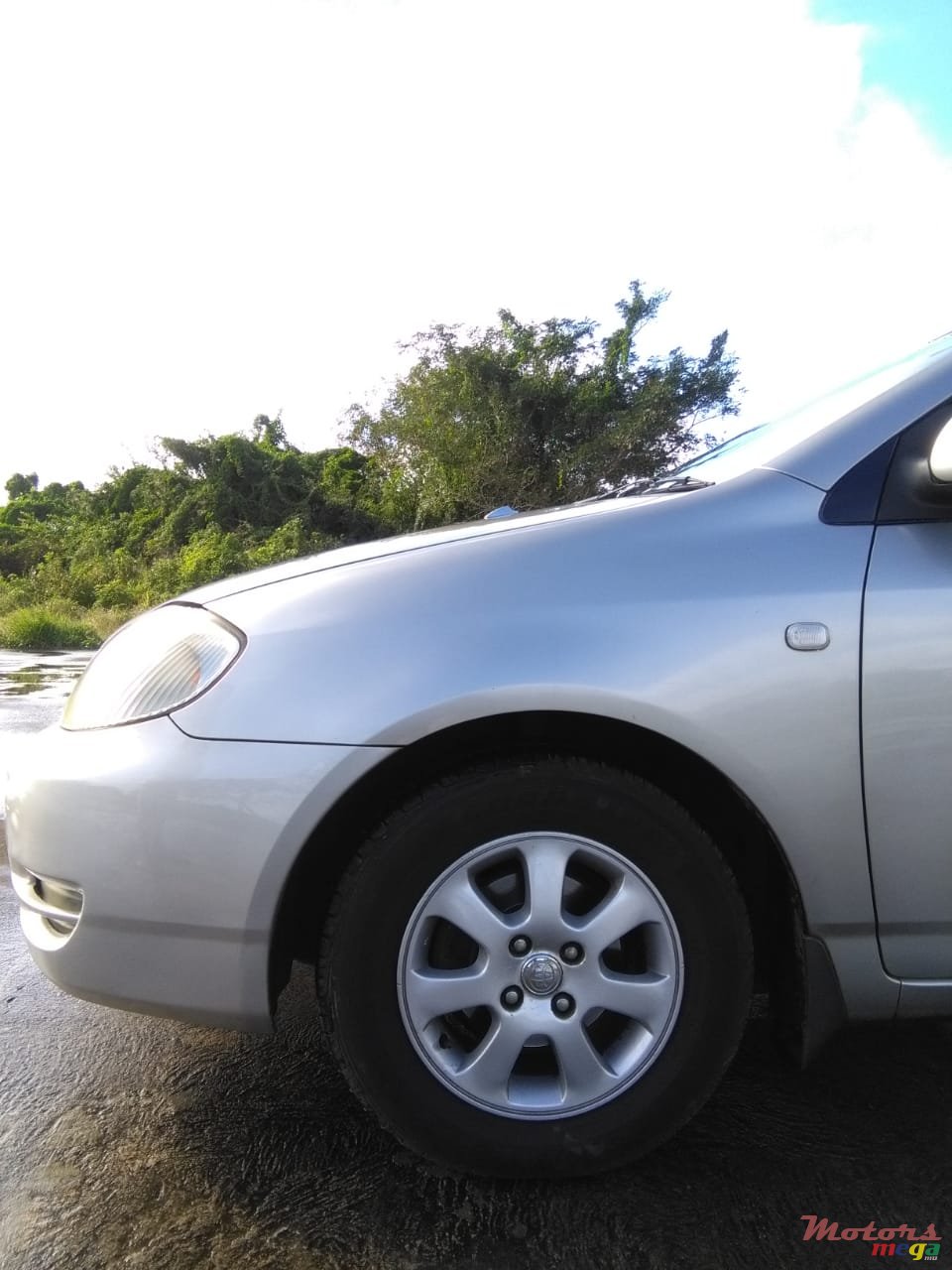 2002' Toyota Corolla photo #3