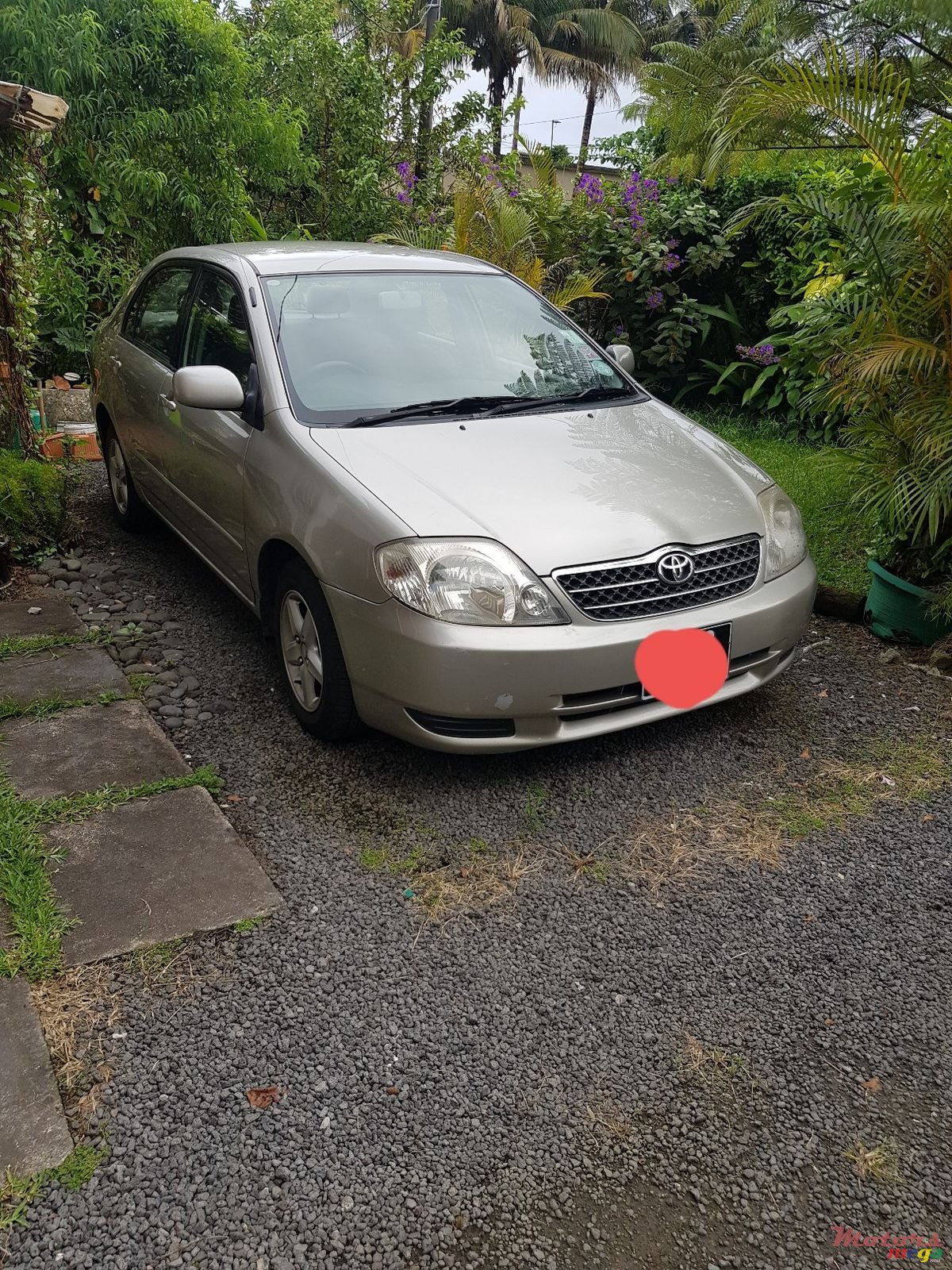 2002' Toyota Corolla NZE photo #2