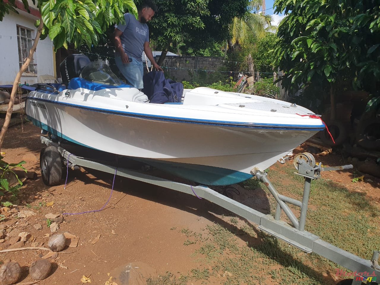 2013' Cobra photo #1