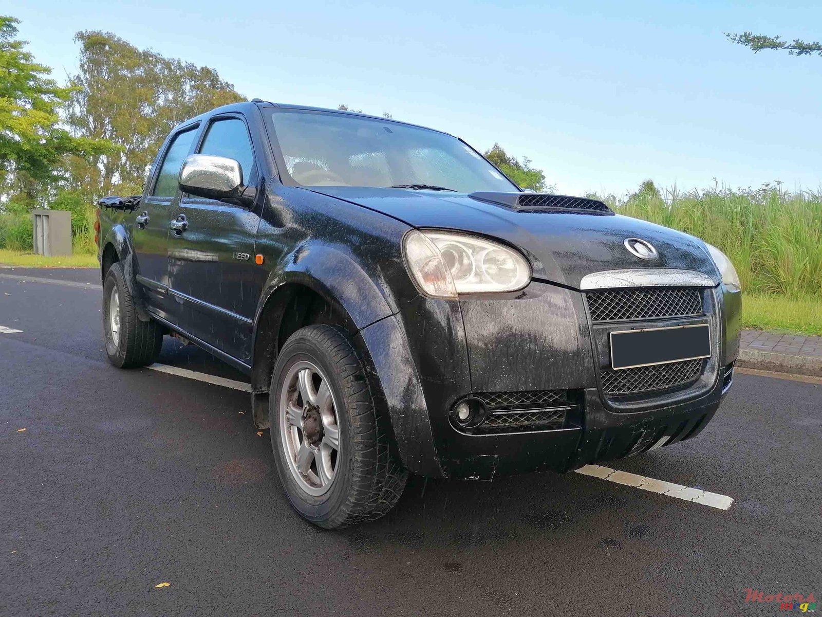 2010' GWM Steed photo #1