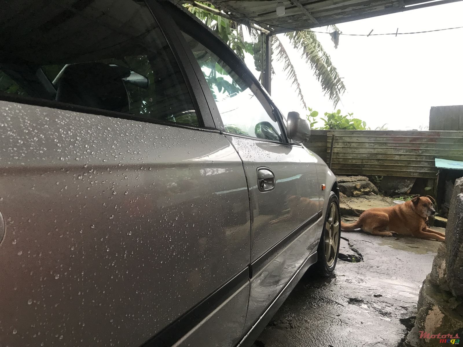 1999' Honda Civic photo #7