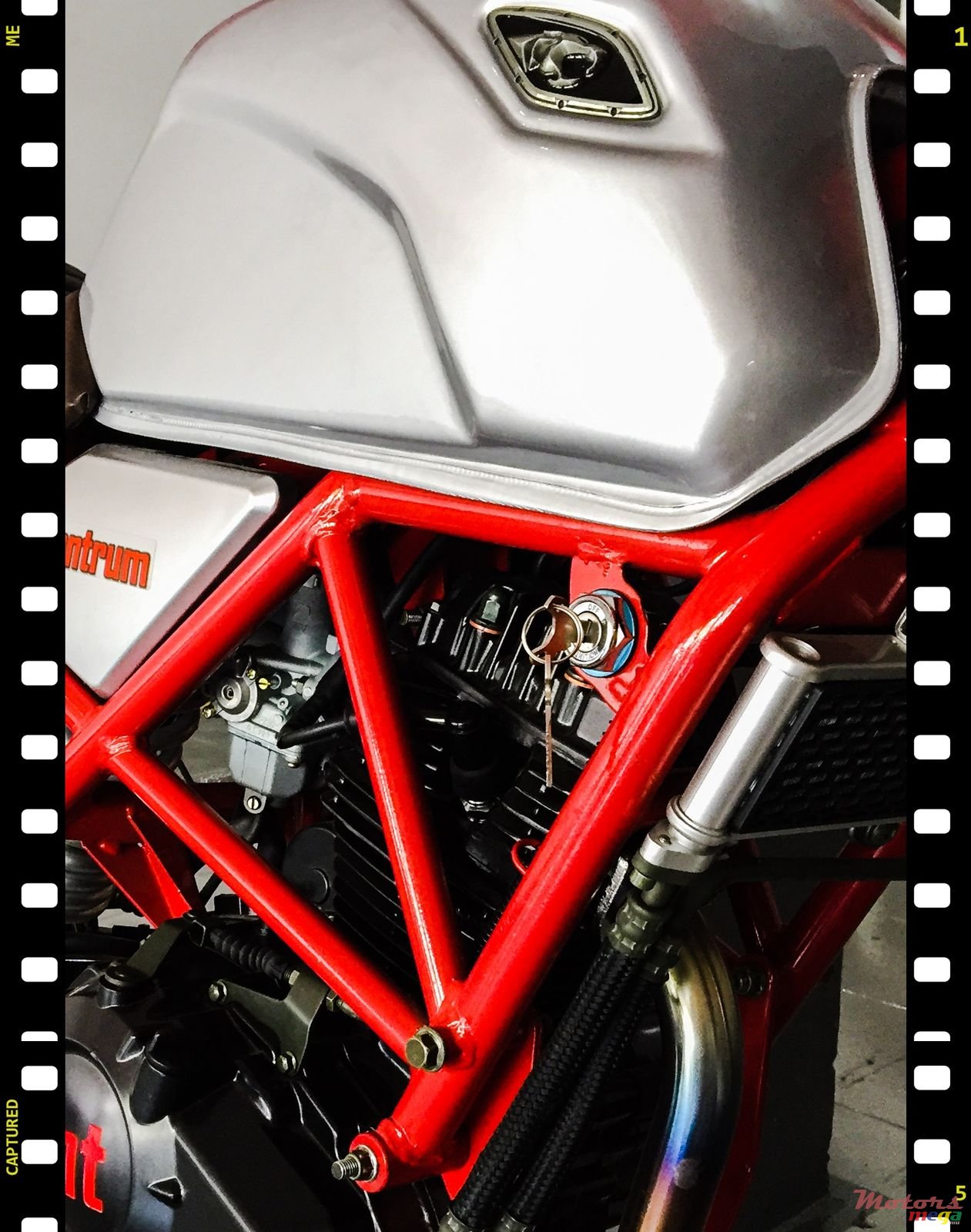 2018' SP SCR250 tantrum photo #4