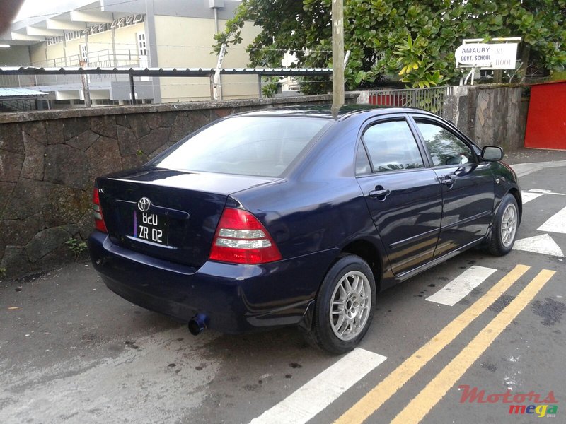 2002' Toyota Corolla photo #5