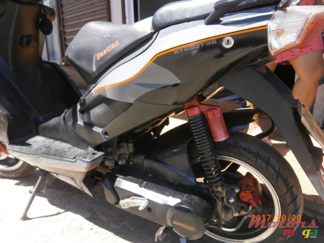 2011' Falcon baotian photo #3