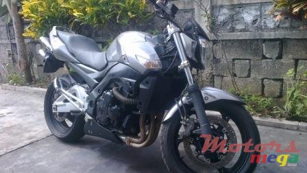 2010' Suzuki photo #1