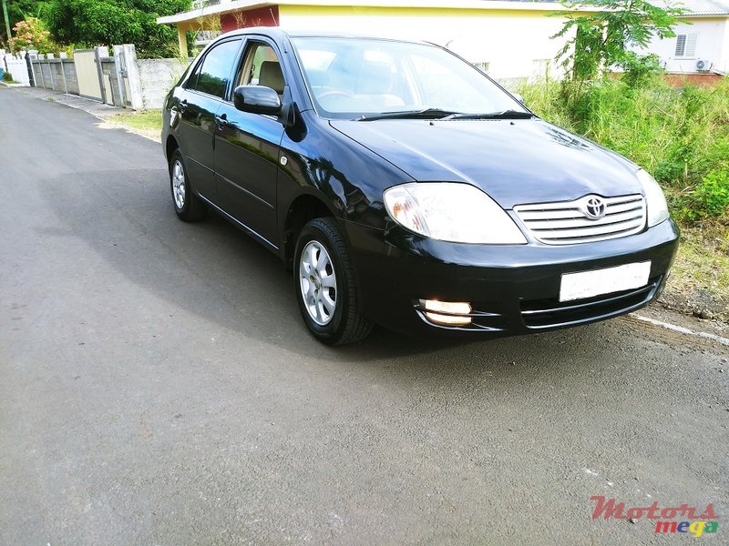 2004' Toyota Corolla Nze GLI Luxel photo #1