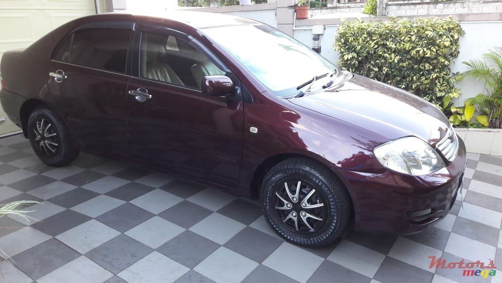 2003' Toyota Corolla photo #1