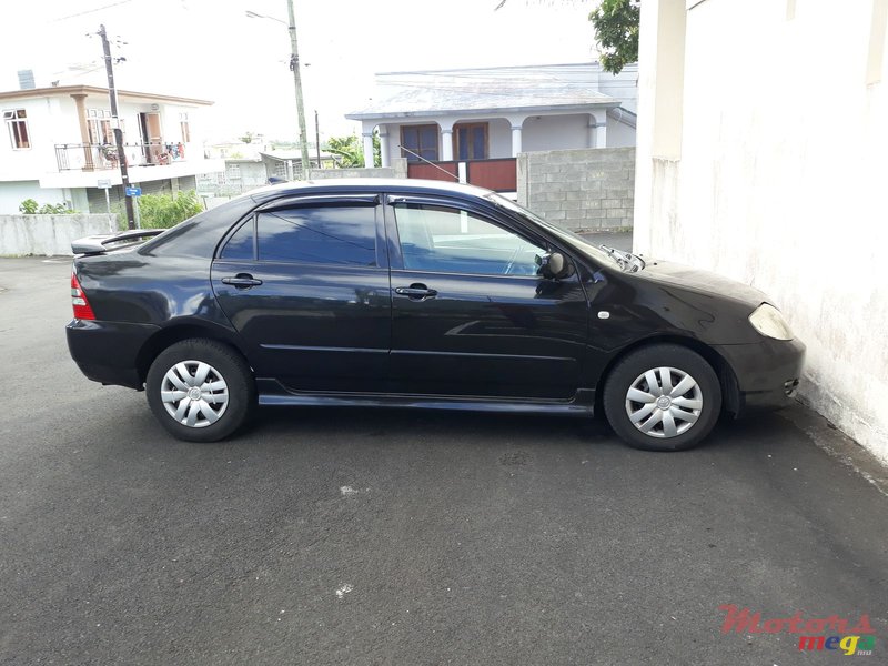 2003' Toyota Corolla NZE photo #2