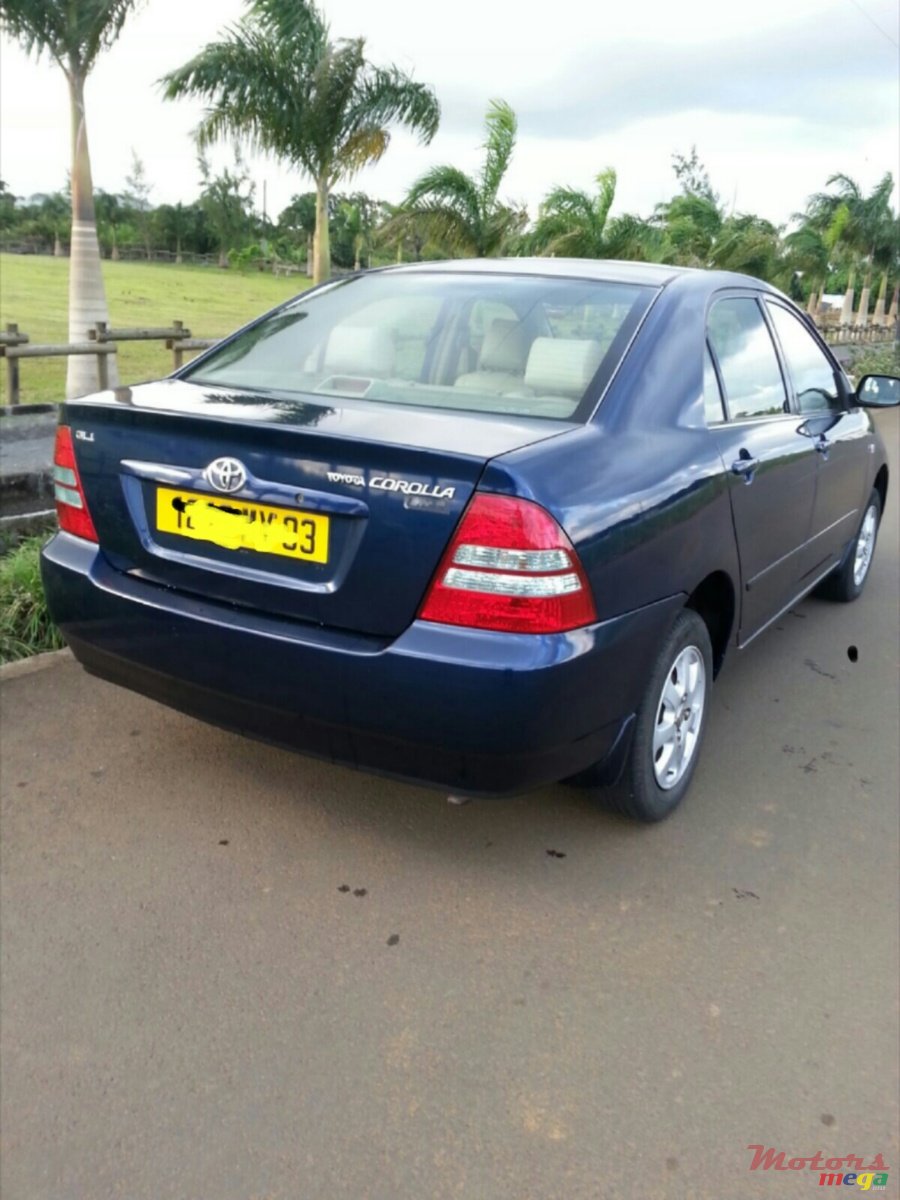 2003' Toyota NZE photo #3