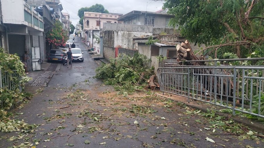 Cyclone Eleanor à proximité de Maurice : des chutes d’arbres à travers le pays