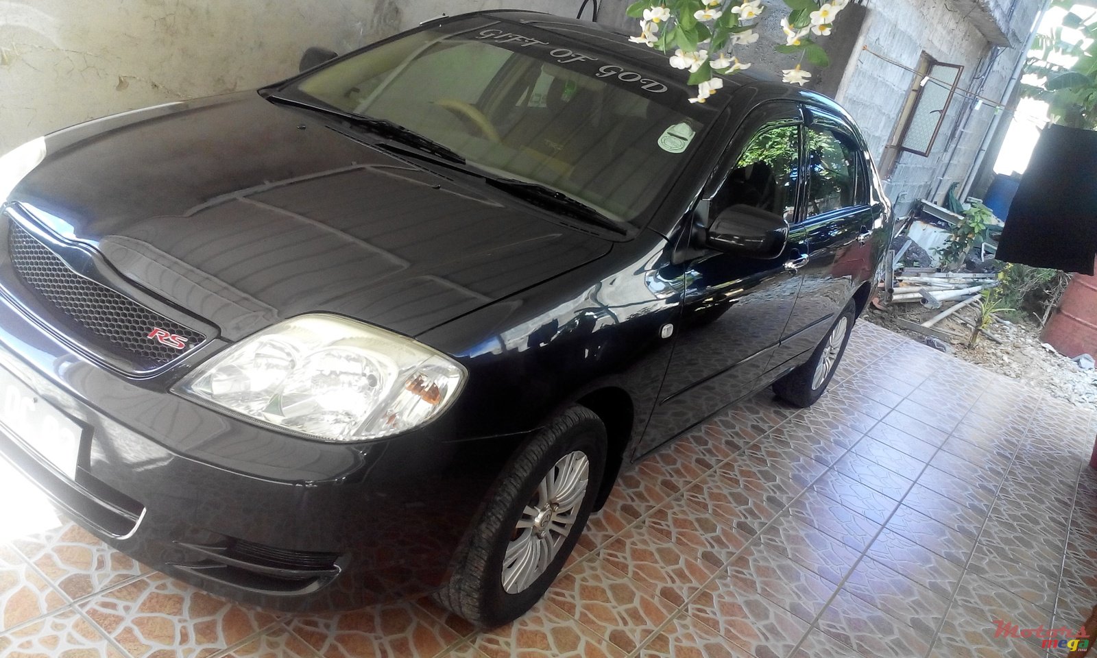 2003' Toyota Corolla photo #1