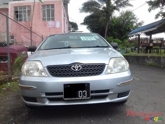 2003' Toyota Corolla NZE photo #2