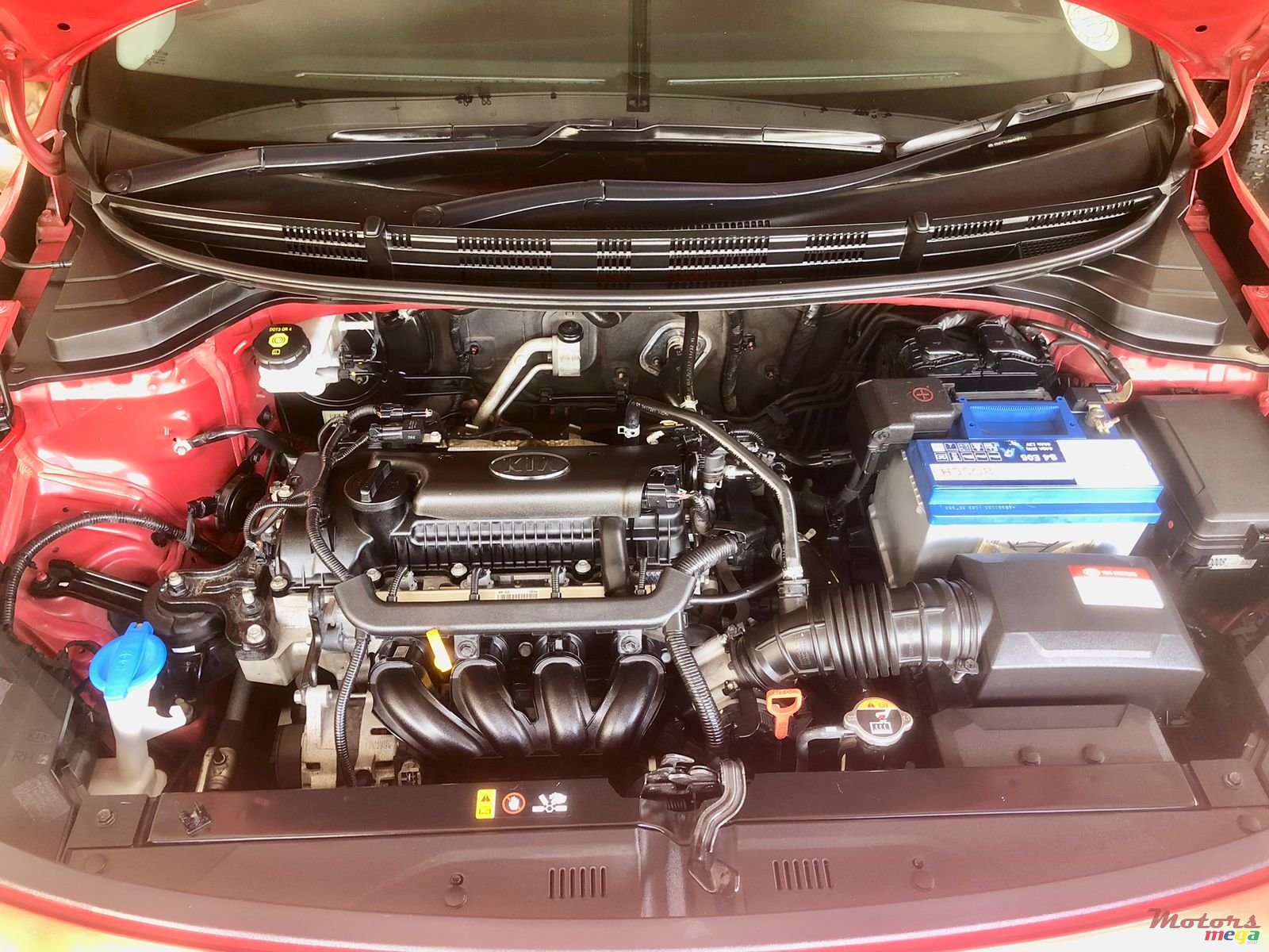 2017' Kia Rio photo #1