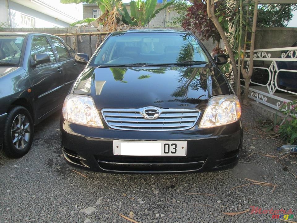 2003' Toyota Corolla NZE photo #1
