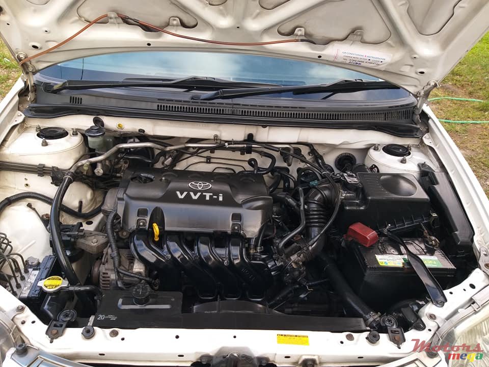 2004' Toyota Corolla NZE photo #7