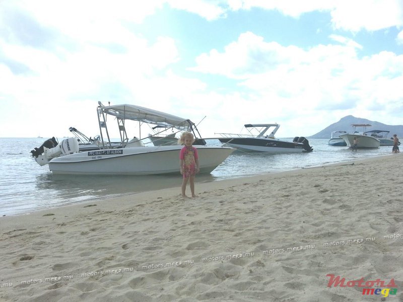 2010' Evinrude LEGEND 17 photo #1