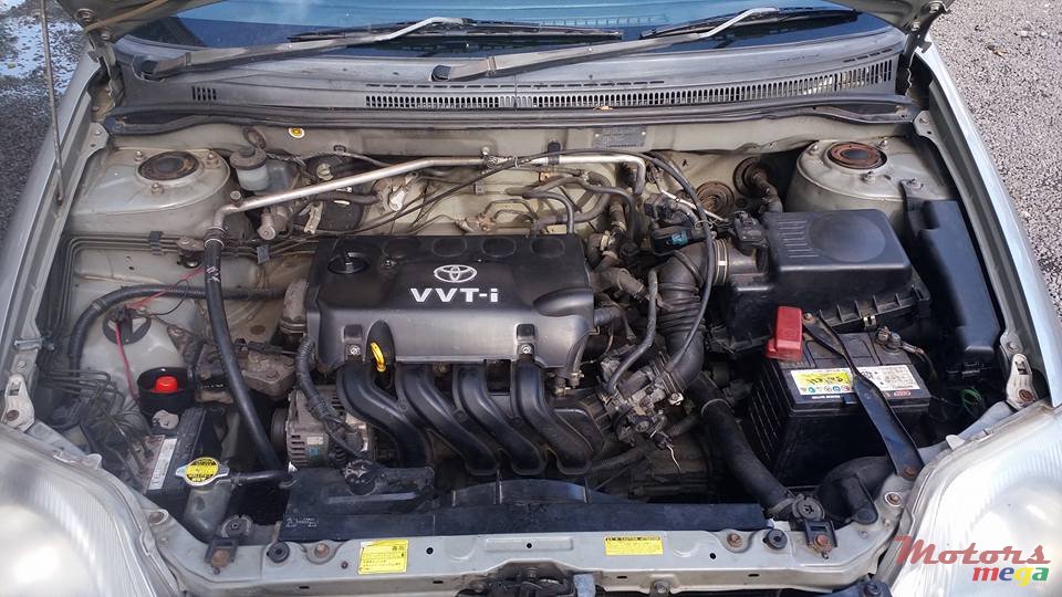 2001' Toyota Corolla NZE photo #7