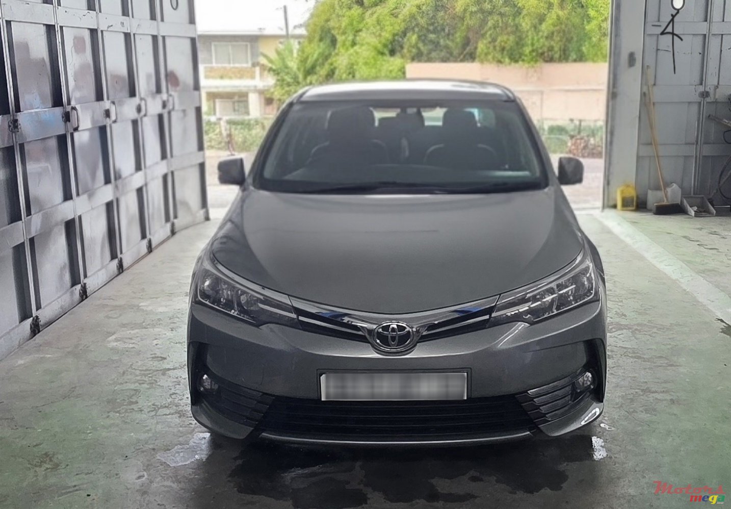 2019' Toyota Corolla photo #1