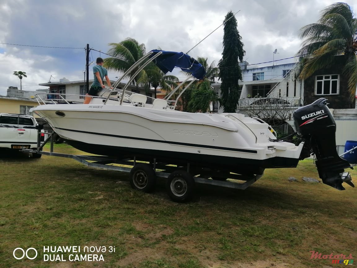 2011' Suzuki photo #1